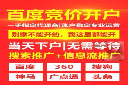 Sem优化公司实例：电商流量提升策略